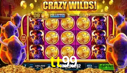 Especiais de Fim de Semana tt99