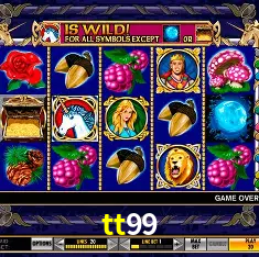 Experiência VIP tt99